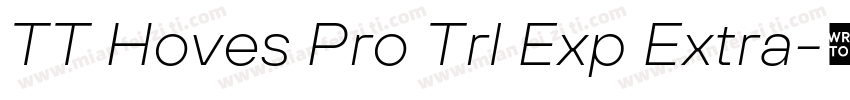 TT Hoves Pro Trl Exp Extra字体转换